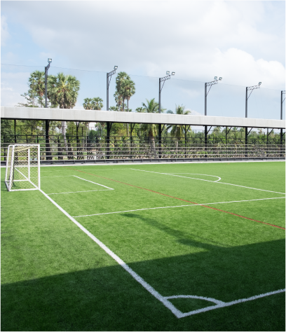 cancha