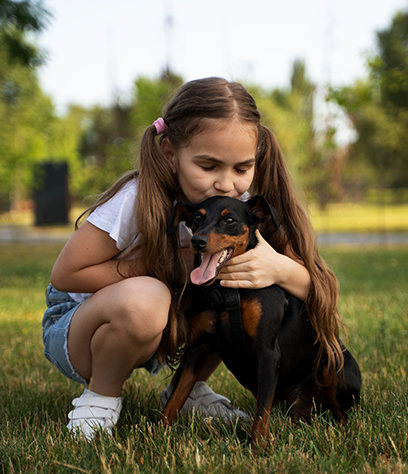 PETPARKWEB copia